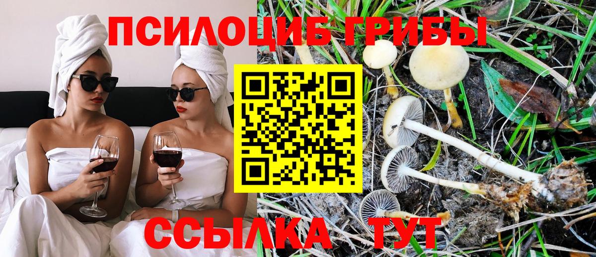 Отрадный  Галлюциногенные грибы ЛСД  Вход с VPN  Псилоцибиновые грибы MAGIC MUSHROOMS 